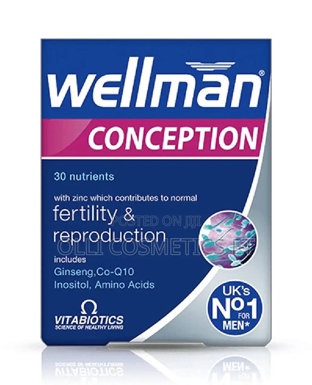 Wellman Conception