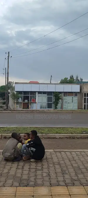 Furnished 8bdrm House in Bishoftu Dukem, East Shewa for sale