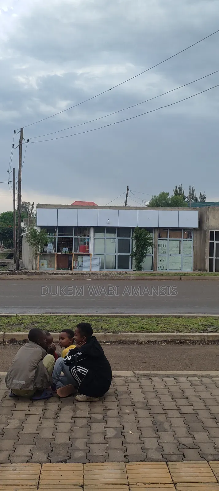Furnished 8bdrm House in Bishoftu Dukem, East Shewa for sale