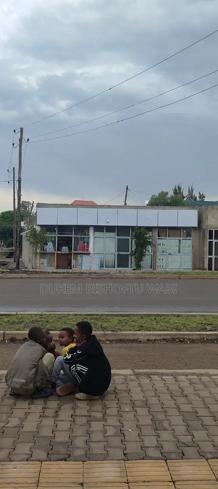 Furnished 8bdrm House in Bishoftu Dukem, East Shewa for sale