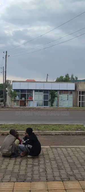 Furnished 8bdrm House in Bishoftu Dukem, East Shewa for sale