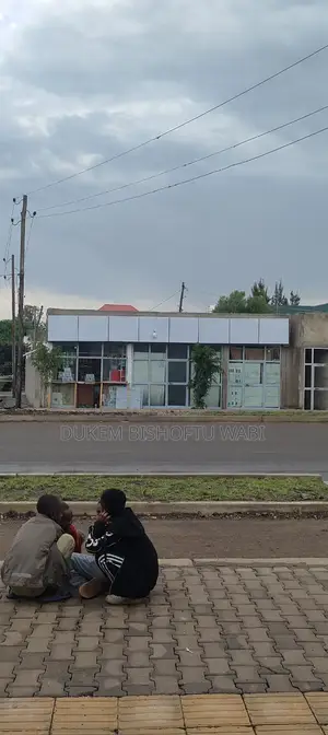Furnished 8bdrm House in Bishoftu Dukem, East Shewa for sale