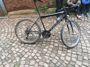 26 Kuter Bayscle