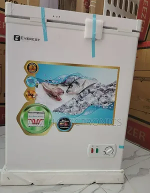 Everest Deep Frezer