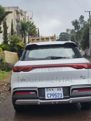 Tiger Car Rental