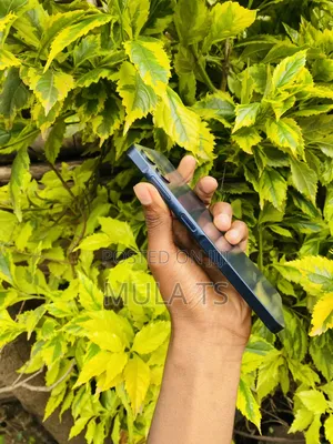 Samsung Galaxy A06 64 GB Black
