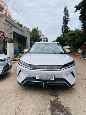 BYD Yuan Up 32 kWh FWD 2024