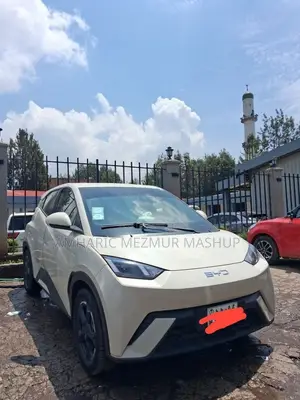 BYD Seagull 2024 White