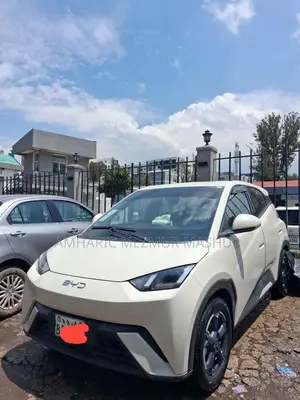 BYD Seagull 2024 White