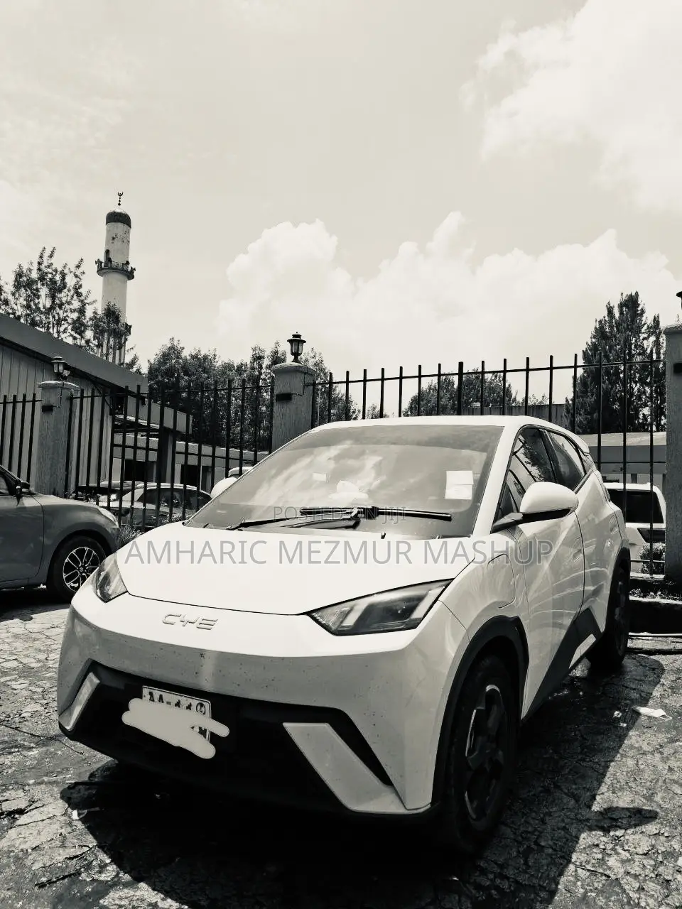 BYD Seagull 2024 White