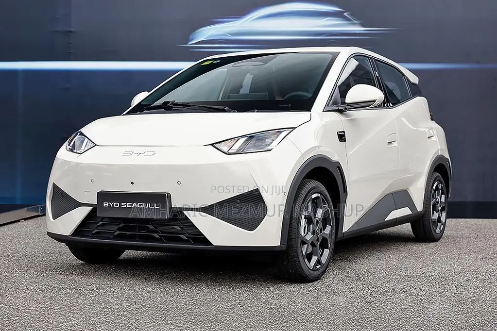 BYD Seagull 2024 White