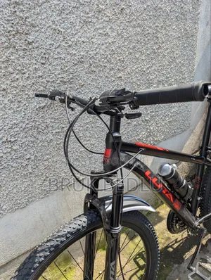 Luta Brand New Bike