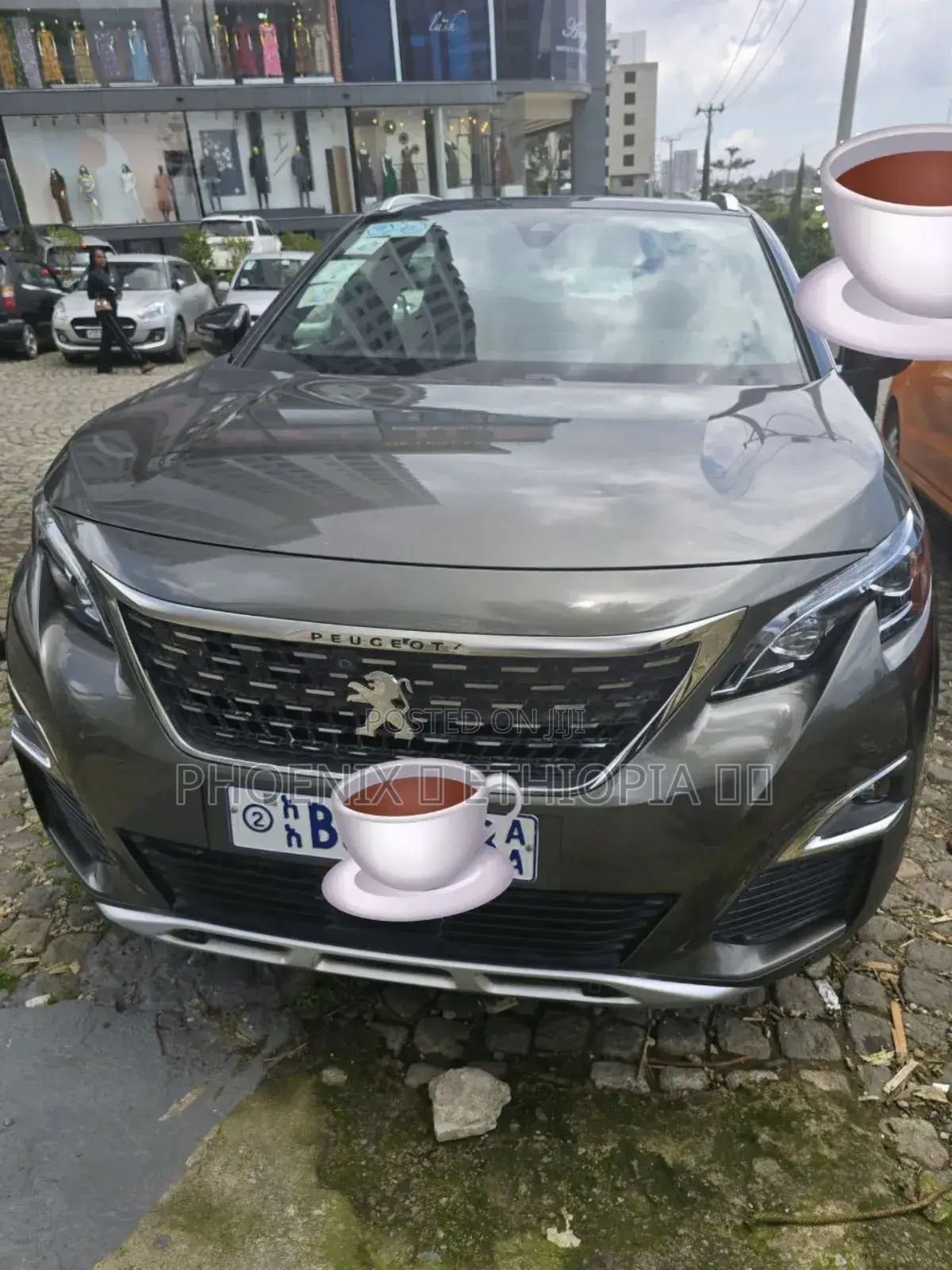Peugeot 3008 2020 Gray