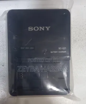 Sony Charger