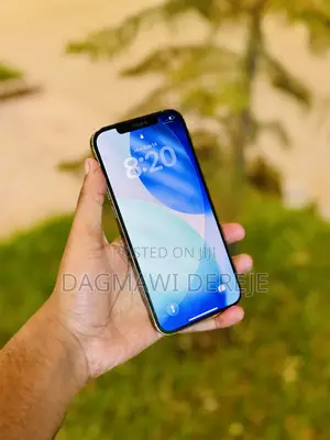 New Apple iPhone 12 Pro Max 256 GB Gold