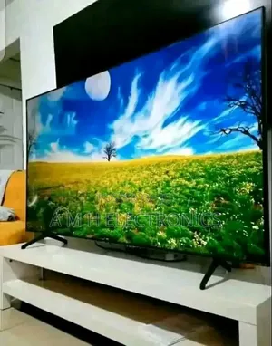 Samsung 65 Inch Smart TV