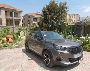 Peugeot 2008 2022 Gray