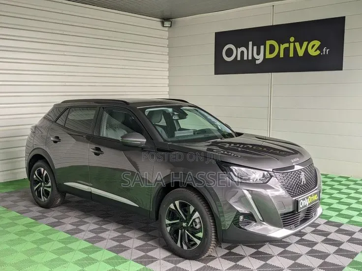 Peugeot 2008 2022 Gray