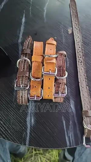 Quality and Strong Collars and Leash