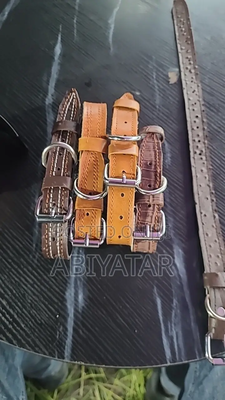 Quality and Strong Collars and Leash