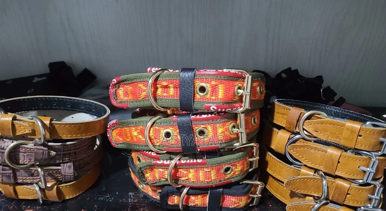 Quality and Strong Collars and Leash