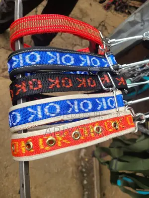 Quality and Strong Collars and Leash