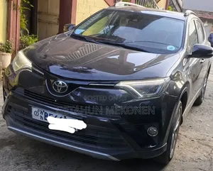 Toyota RAV4 2018 Burgundy