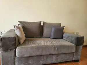 Couch Furniture
