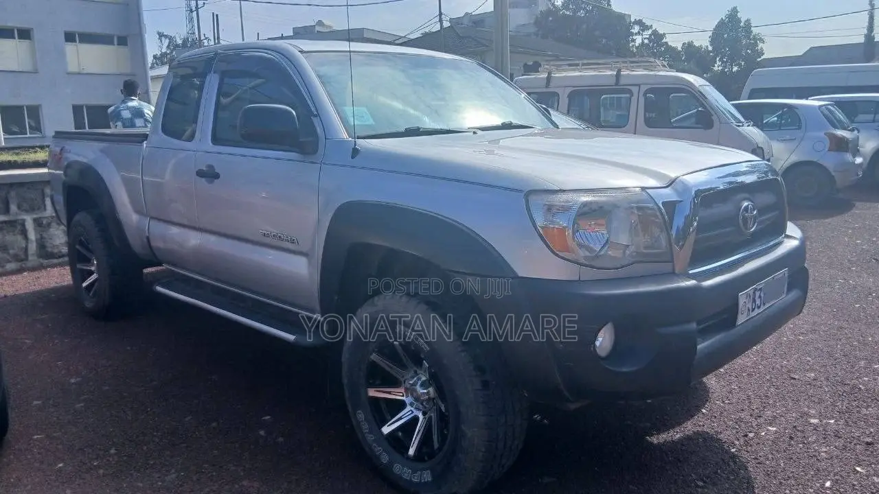 Toyota Tacoma 2010 Silver