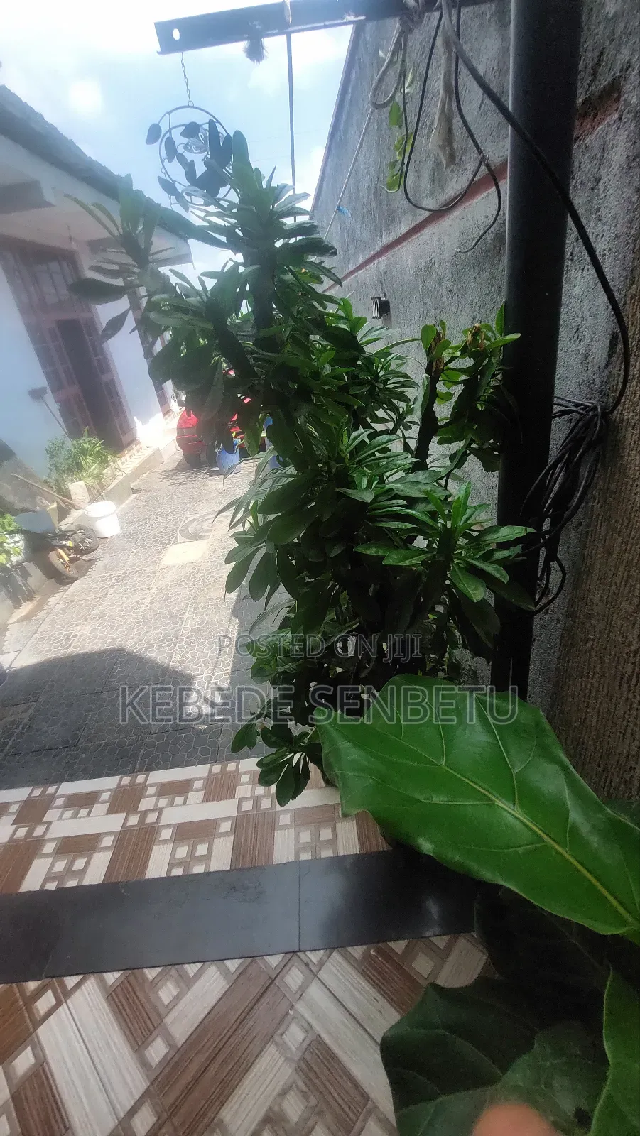 Furnished 1bdrm House in Oromia, East Shewa for rent