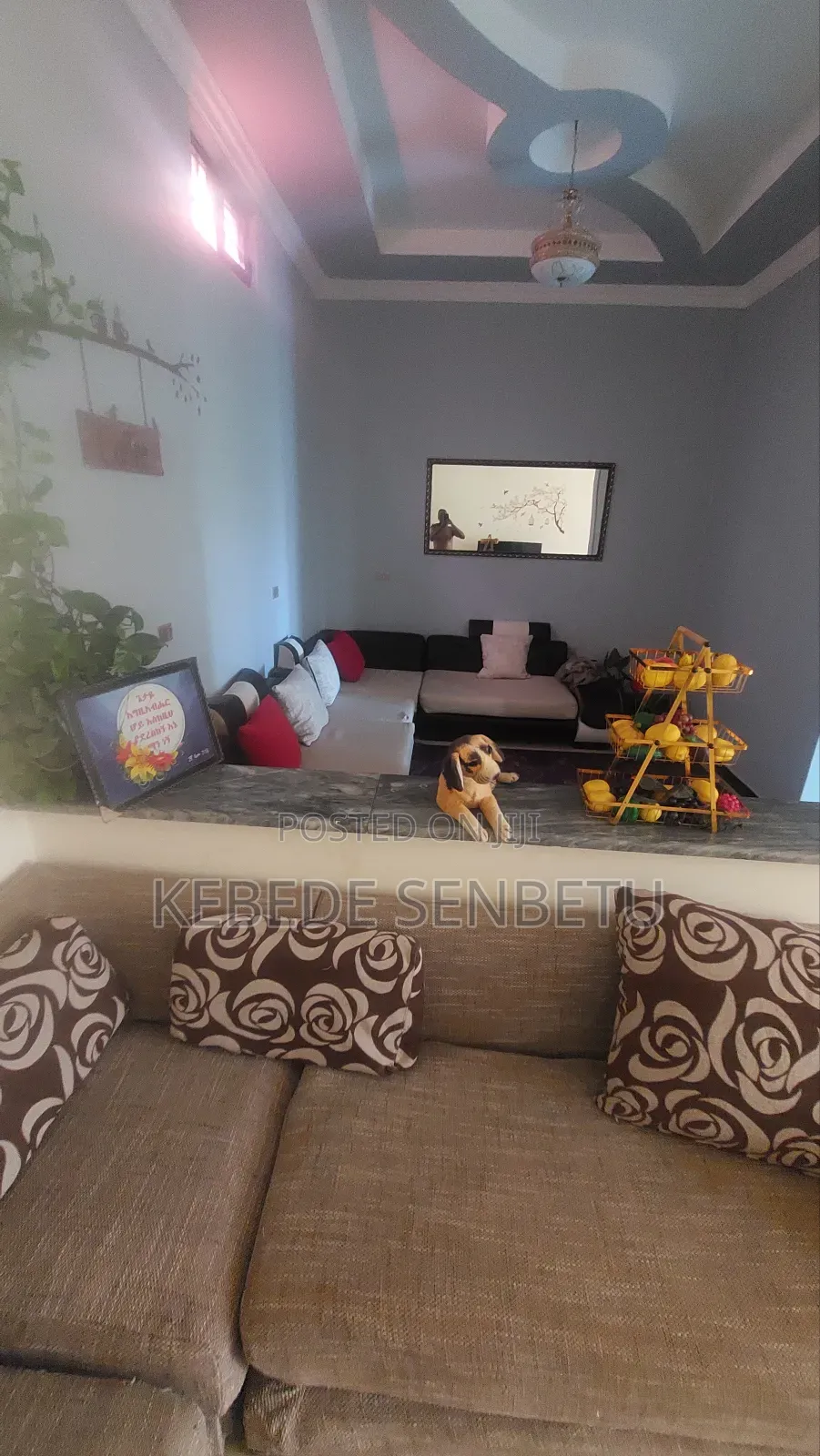 Furnished 1bdrm House in Oromia, East Shewa for rent