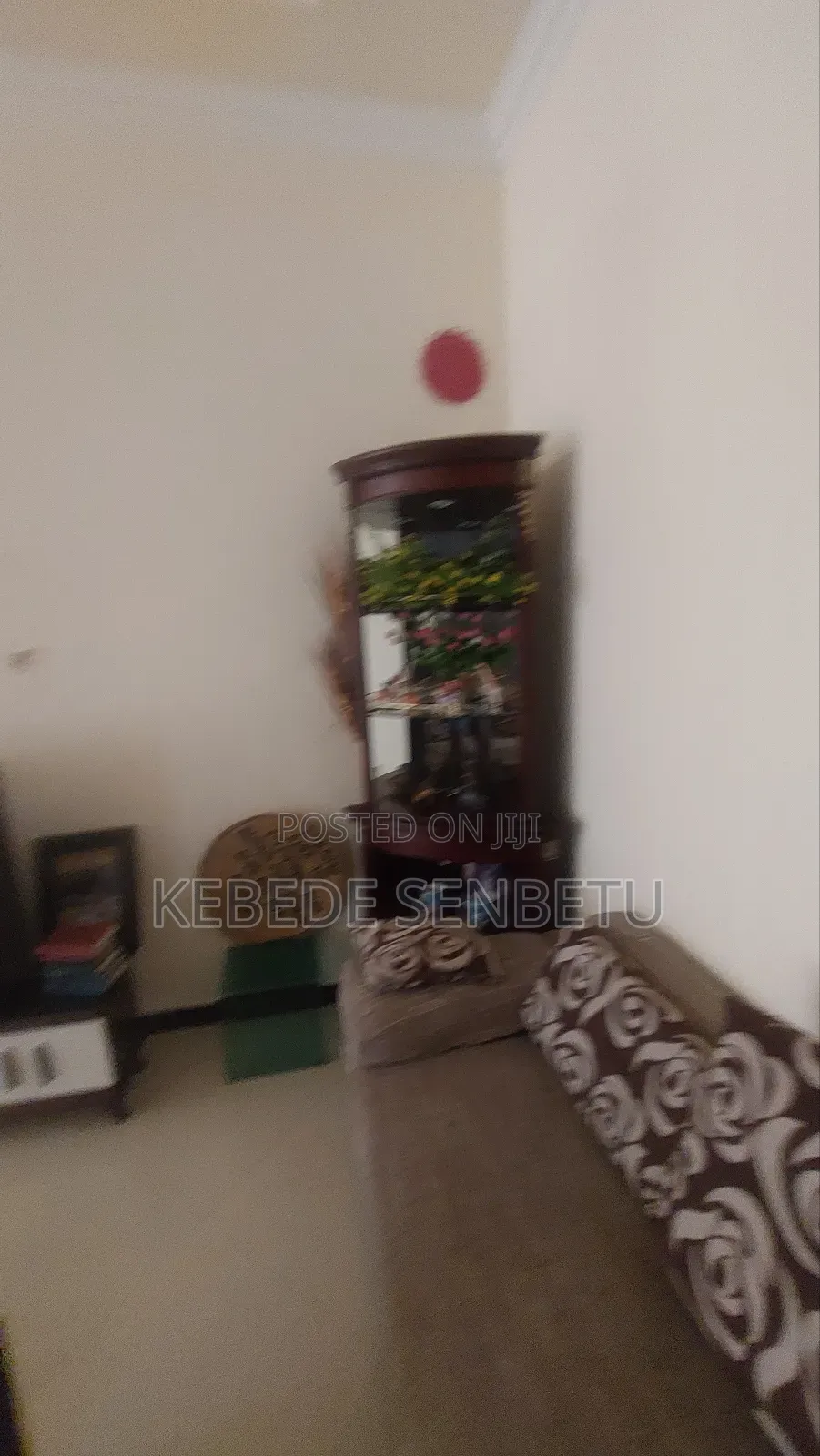 Furnished 1bdrm House in Oromia, East Shewa for rent