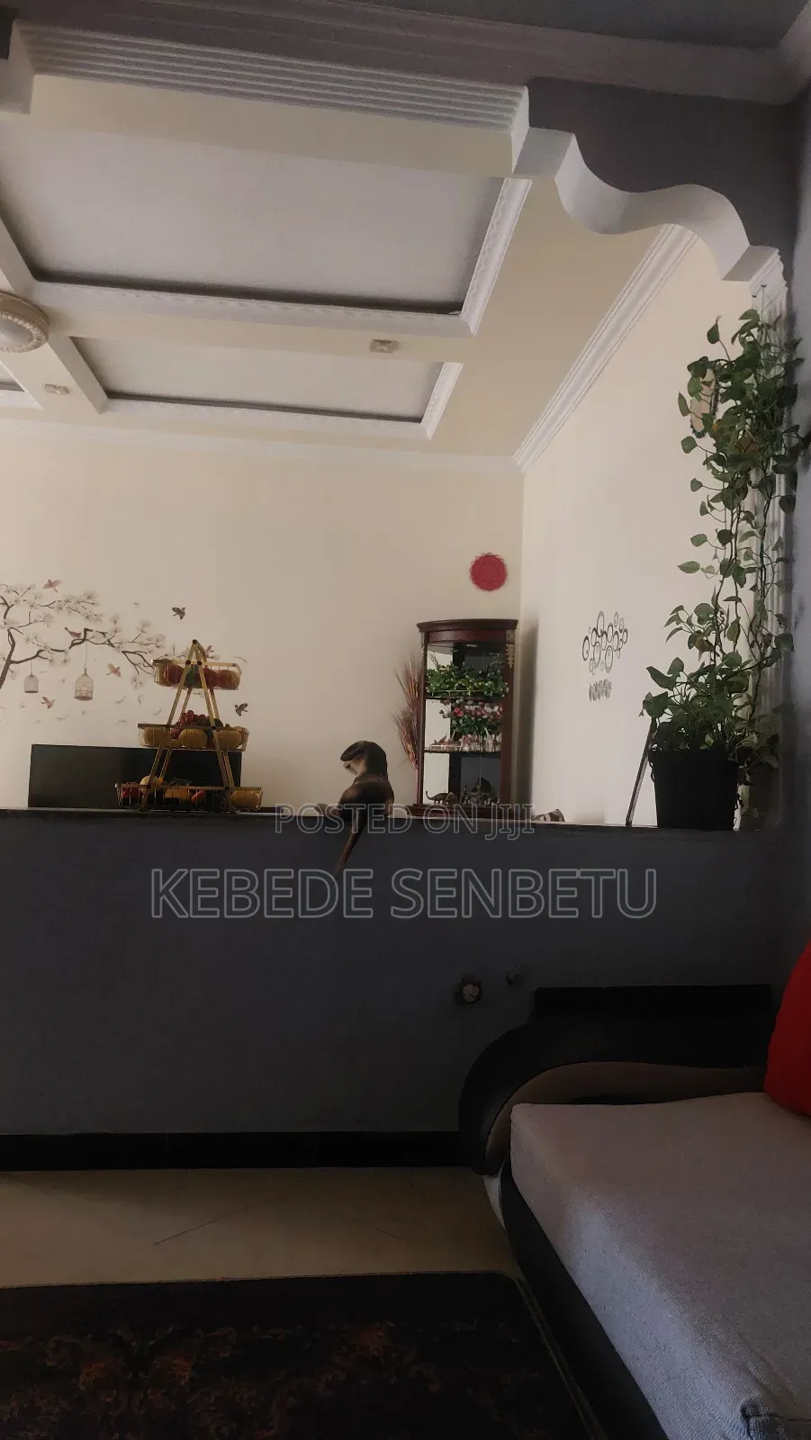 Furnished 1bdrm House in Oromia, East Shewa for rent
