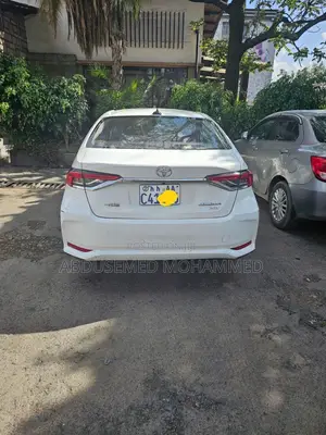 Toyota Corolla 2023 White