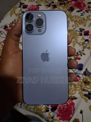 Apple iPhone 13 Pro Max 256 GB Silver