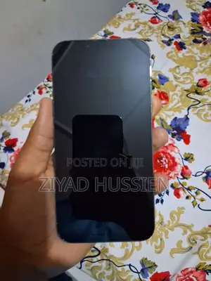 Apple iPhone 13 Pro Max 256 GB Silver