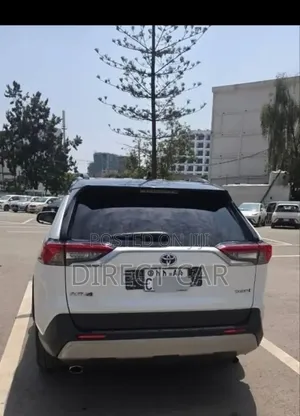 Toyota RAV4 2023 White