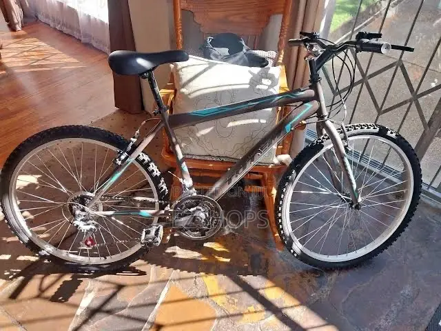 Bicycle Totem 26” Used by Embassy