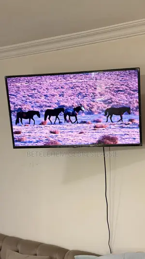 Television