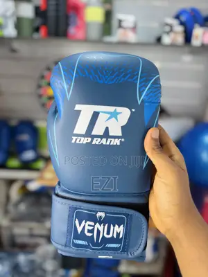 Venum Martial Art Gloves