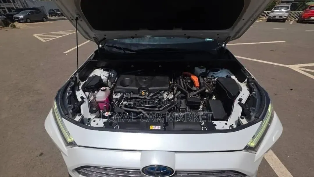 Toyota RAV4 2023 White
