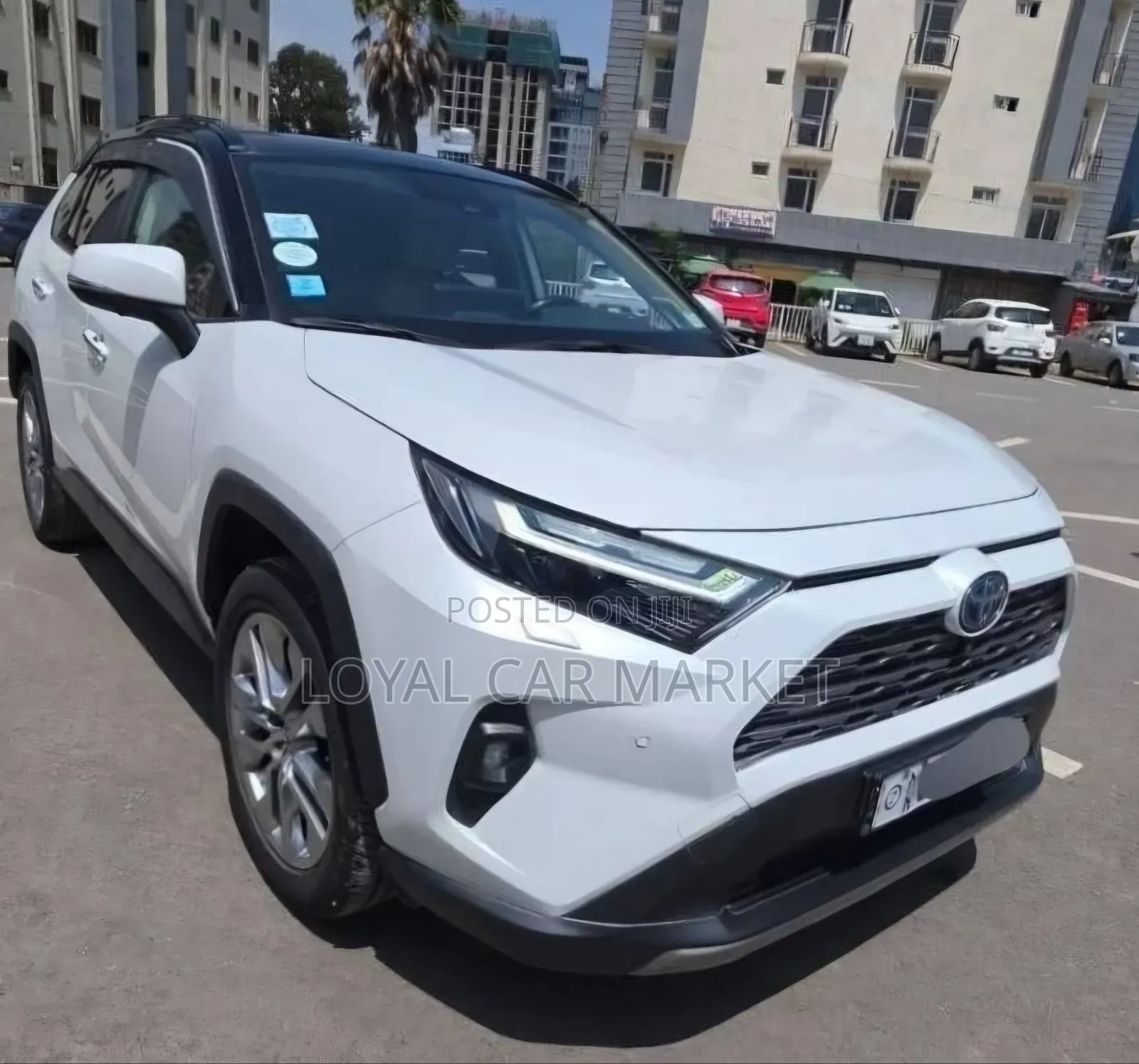 Toyota RAV4 2023 White