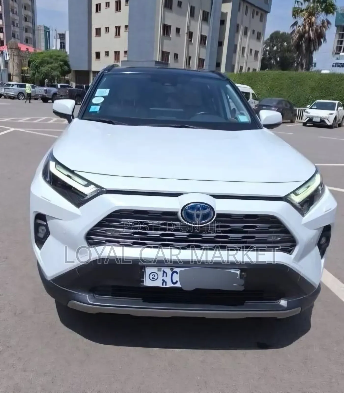 Toyota RAV4 2023 White