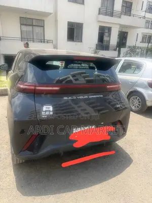 BYD Seagull 2024 Black