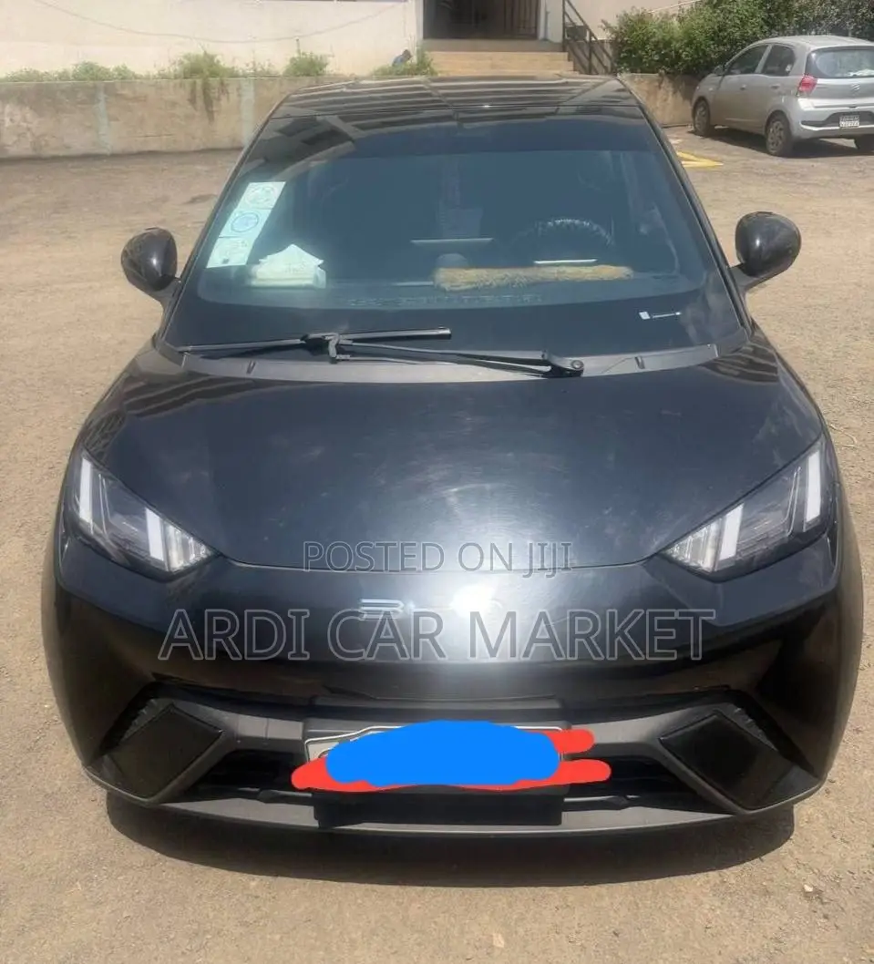 BYD Seagull 2024 Black