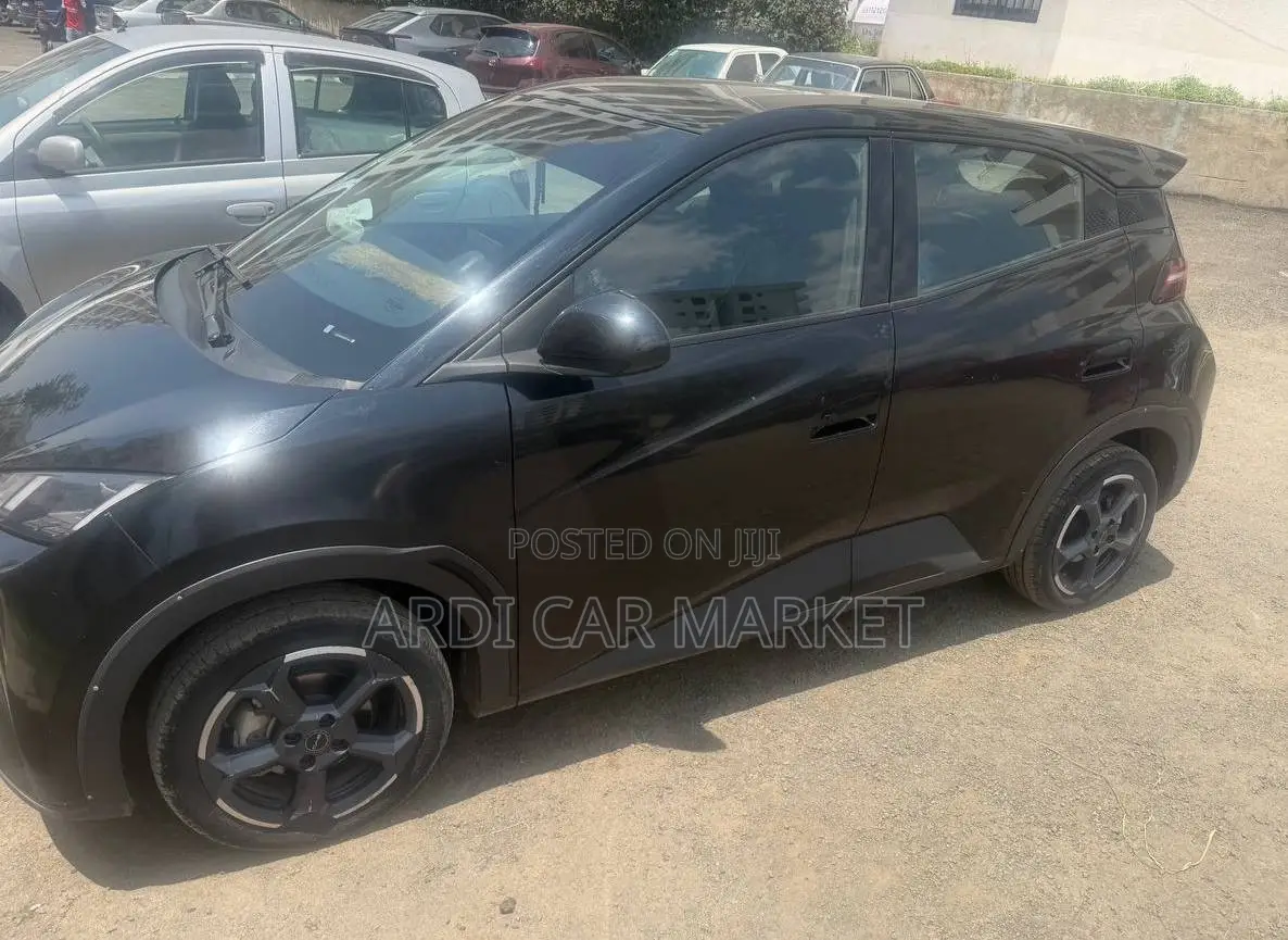 BYD Seagull 2024 Black