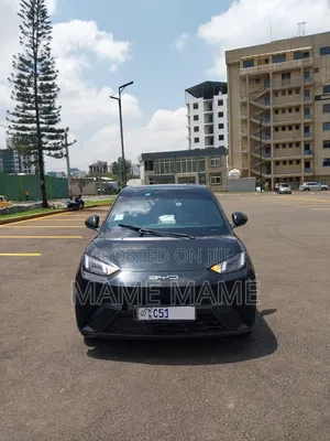 New BYD Seagull 2024 Black