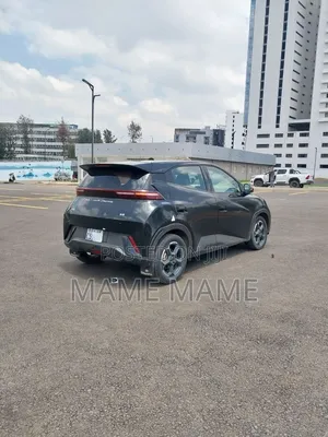 New BYD Seagull 2024 Black