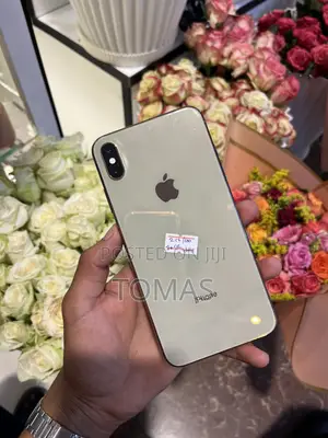 Apple iPhone XS Max 256 GB Bronze