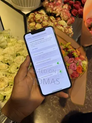 Apple iPhone XS Max 256 GB Bronze